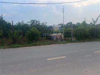 Chị em cần bán đất 50 năm tại xã song phương, hoài đức . diện tích 1200m2 mặt đường xe công chạy