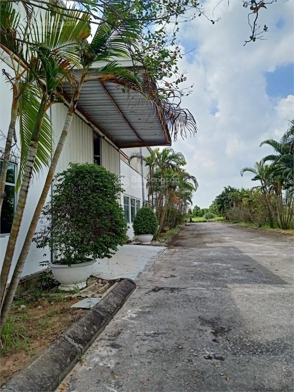 Bán đất phường đại yên, tp hạ long, tỉnh quảng ninh dt 180m2