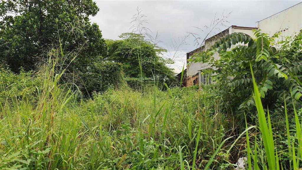 Đất 2 mặt tiền đường 3/2 trung tâm 14x36 tt. trảng bom. chỉ 22 tỷ.