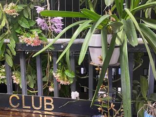 Hot ! chính chủ tôi cần bán căn chung cư báo nhân dân 96m 3pn , 2wc,full nội thất ,sổ đỏ bao phí