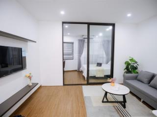Cho thuê căn hộ chính chủ kv linh lang/ đào tấn/ vạn bảo  đầy đủ nội thất  45m2 chỉ 9.5 triệu