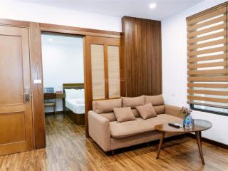 (giảm giá) cho thuê căn hộ đủ nội thất 1k1n, 40m2, kv đào tấn, từ 10tr