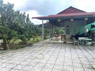 Chính chủ bán gấp  mua đất tặng nhà cấp 4 ngay kcn becamex hơn 3000m2, chỉ 950 triệu có thổ cư