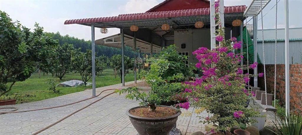 Chính chủ bán gấp  mua đất tặng nhà cấp 4 ngay kcn becamex hơn 3000m2, chỉ 950 triệu có thổ cư