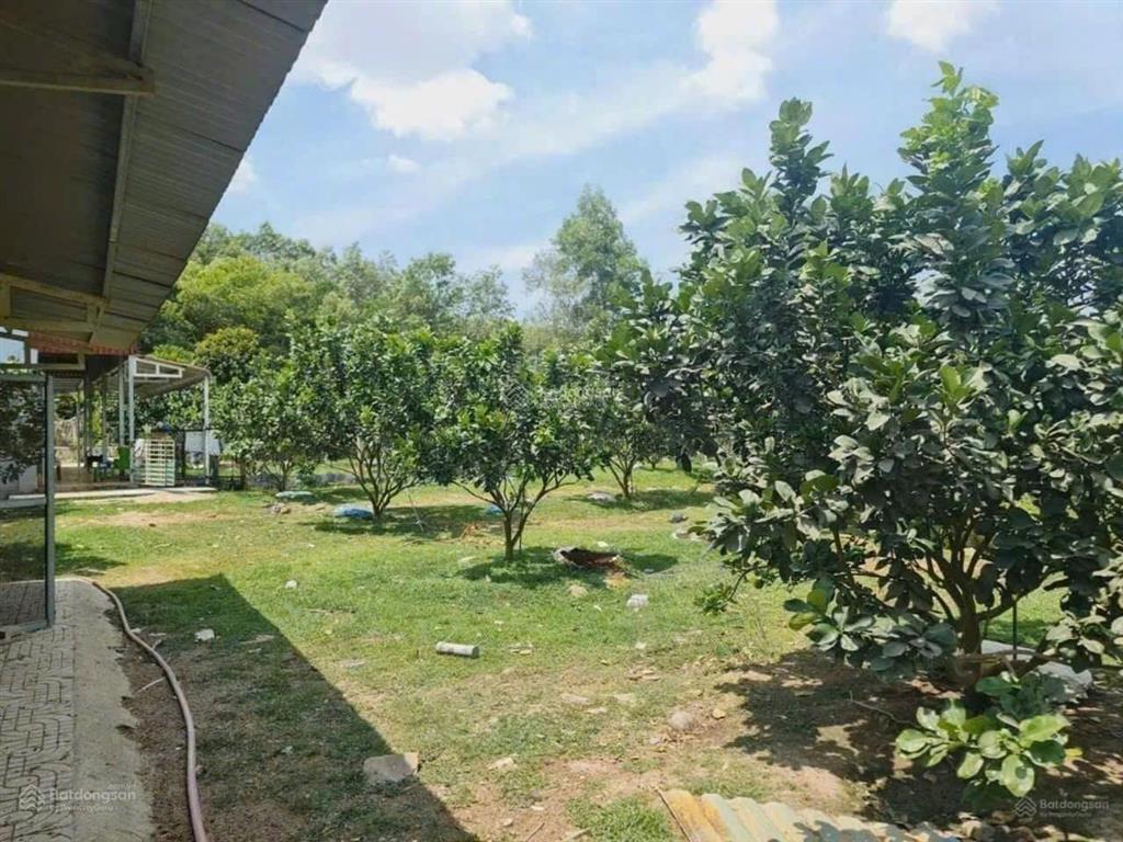 Chính chủ bán gấp  mua đất tặng nhà cấp 4 ngay kcn becamex hơn 3000m2, chỉ 950 triệu có thổ cư