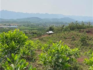 Sổ đỏ 11500m2, diện tích thực 18.000m2. đất rxs