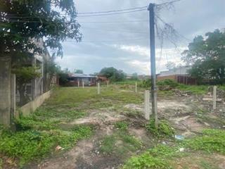 📍 Đất thổ cư mặt tiền đường nhựa 7m – Giá chỉ 480 triệu