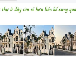 Bán bt cực cbán bt cực chất tại nguyễn đình tứ, 273 triệu/m2, 210m2, view đẹp siêu hot, bắc từ liêm