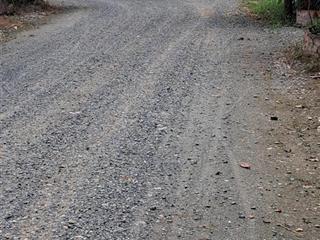 Bán đất tặng nhà, 2400m2 full thổ cư, ấp 1 xã long hòa huyện cần đước long an, chỉ 25 tỷ tl