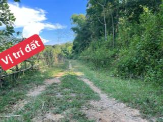 Đất hiếm cẩm thủy, thanh hóa. chính chủ cần bán gấp, view siêu đẹp, gần đường lớn, dễ thanh khoản