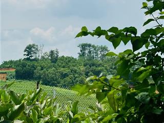 Lô đất view sông đà chủ cần bán gấp ngay tại minh quang  ba vì
