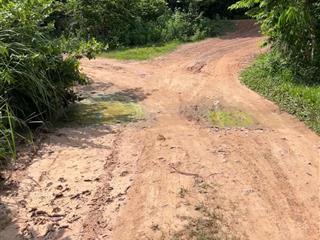 Bất động sản thuận tiện làm kho xưởng phước ninh, dương minh châu, tây ninh