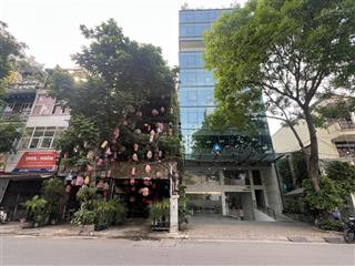 Bán nhà ngã 5 giảng võ, ba đình diện tích 195m2, mặt tiền rộng, sổ nở hậu, giá 500tr/m2