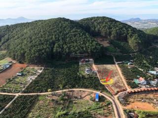 Cơ hội vàng chắc thắng đất view đồi thông mê linh, đà lạt 115m2, chỉ 650 triệu hàng xóm văn minh