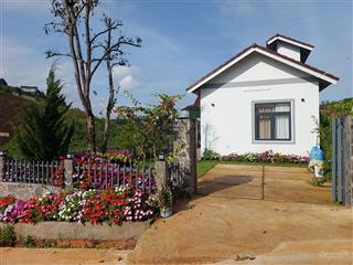 Biệt thự view suối vừa là nhà, vừa là tài sản sinh lời mê linh, lâm hà 536m2 xây mới tạo dòng tiền