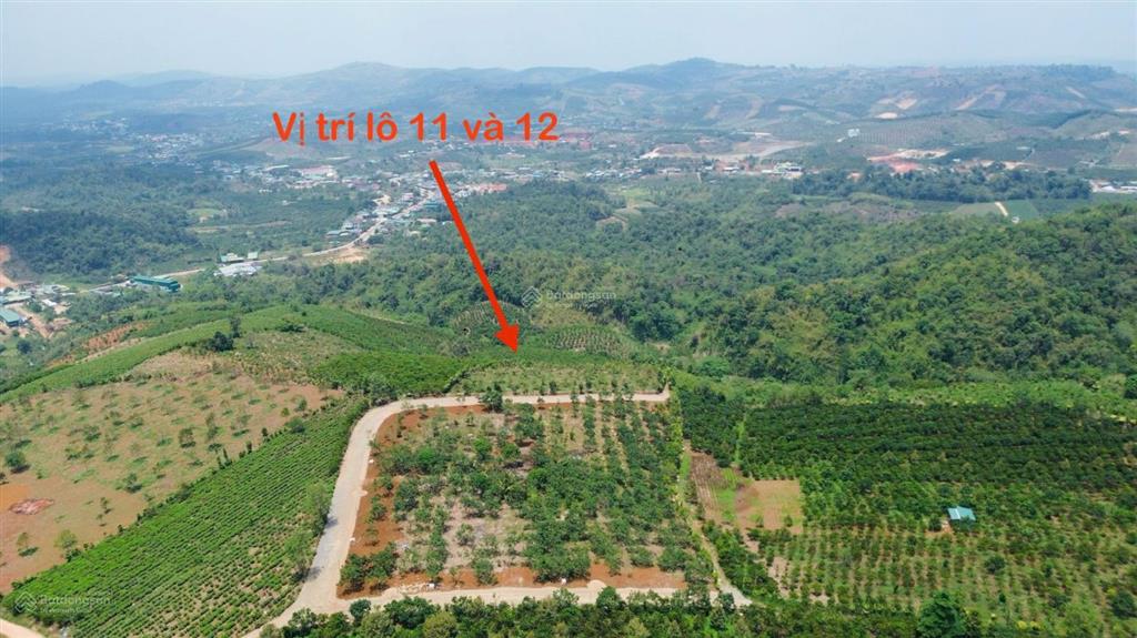 Chốt giá 400 triệu lô đất 1000m2 có sẵn sầu riêng, bơ gần ngay trung tâm. đường đi thuận tiện