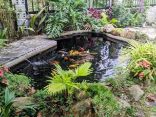 Bán gấp căn nhà 122m2/650 triệu trung tâm bảo lộc, có sân vườn, hồ cá koi dọn vào ở ngay