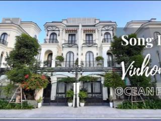 Cho thuê biệt thự song lập 150 m2, xây dựng 77 m2 x 4 tầng full nội thất, gần hồ