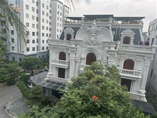 Bán biệt thự hoàn thiện siêu đẹp 190m2 vị trí vip tại khu đô thị việt hưng, long biên