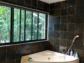 Bán biệt thự đơn lập vườn mai ecopark 369m2, hoàn thiện đẹp, sổ đỏ, giá cực rẻ