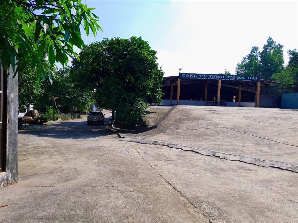 Chính chủ cần bán nhà máy chế biến mủ cao su hà hải. diện tích 30,000 m2, đang hoạt động tốt