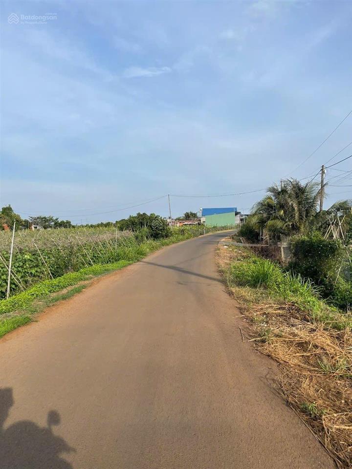 Chính chủ hạ 500 triệu bán lô đất 1100 m2 có 100 m2 thổ cư vuông đẹp 20x55