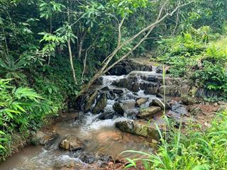 Chính chủ bán đất 5ha khu dân cư ở ngay cầu la ngà giá rẻ. chắc chắn lời