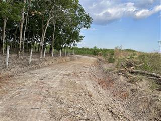 Bán lỗ gấp lô đất 3 mặt tiền góc xuân bắc đẹp vuông