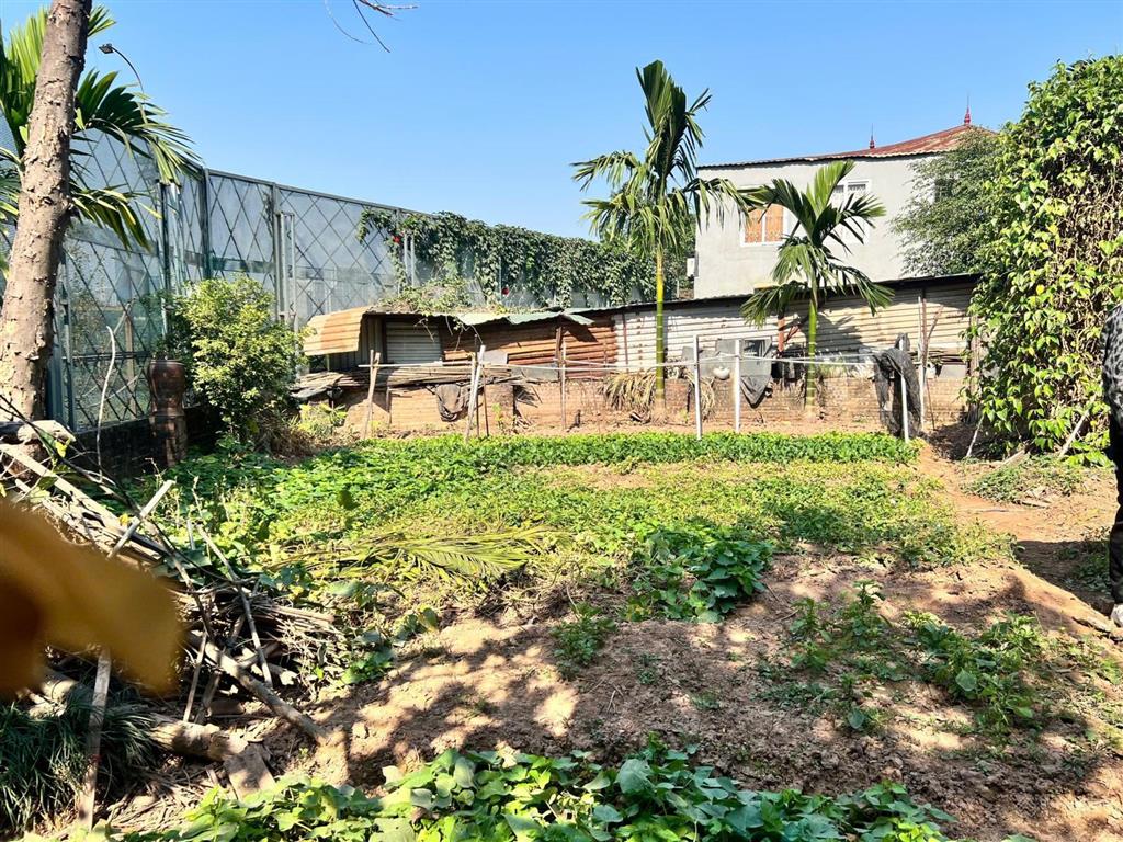 Đất hiếm hồ tây  khu phố sầm uất/khách tây  sổ đẹp  đường rộng thênh thang oto đỗ cửa/vào nhà.