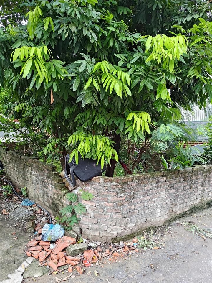 Bán đất tại xuân phương, 9,9 tỷ, 50m2, pháp lý đầy đủ, mặt tiền 4m