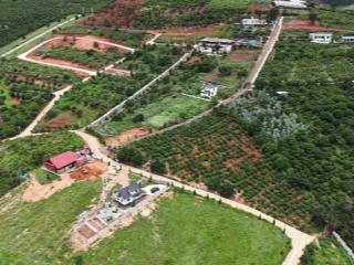 Siêu deal đầu tư 2 lô đất đẹp có thổ cư, giá f0 ở ngoại ô đà lạt 462m2 tạo dòng tiền
