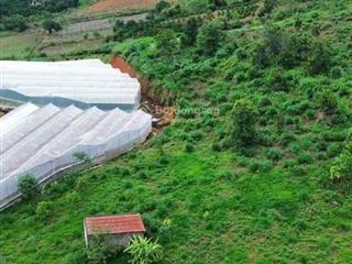 Sở hữu thảm xanh cùng nền nhiệt độ mát mẻ quanh năm đất đẹp tt nam ban view xịn mịn
