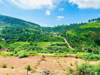 Đất thị trấn nam ban  sẽ sát nhập vào đà lạt  view đồi núi gần trung tâm