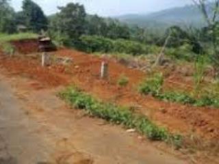 Lô đất nông nghiệp phù hợp nghỉ dưỡng tại đăk nia