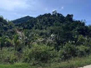 Cần bán gấp lô đất nông nghiệp đăk nia gia nghĩa