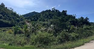 Đất rộng rãi tại xã đăk nia gia nghĩa