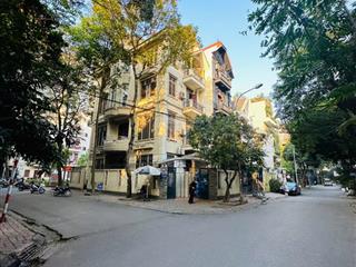 Bán biệt thự mặt phố nguyễn thị thập  kđt trung hoà nhân chính, vị trí đẹp nhất phố, hiếm nhà bán