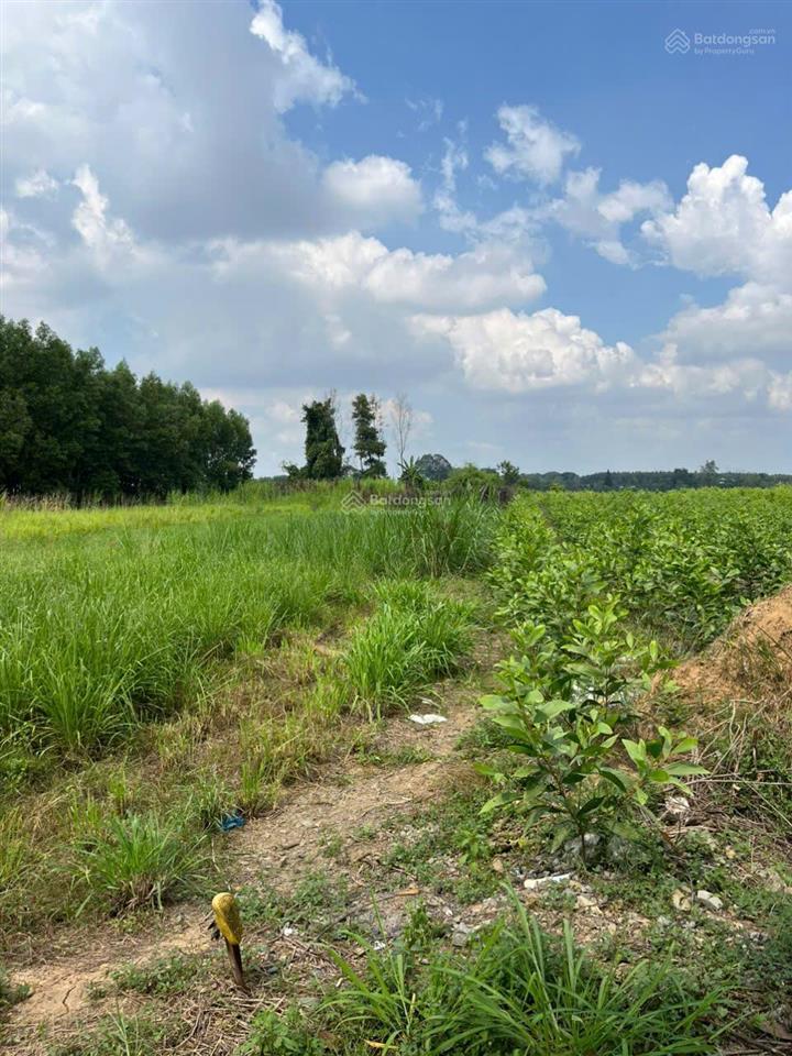 Chính chủ, cần bán gấp đất ven sông đồng nai quy hoạch bờ kè & đường lớn 6 làn | 1.700m² | 4,9 tỷ