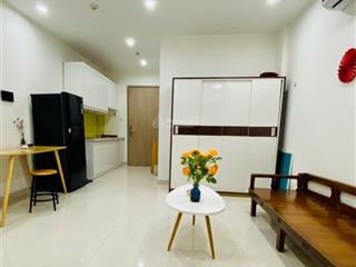 Cho thuê căn hộ tại vinhomes smart city tây mỗ nam từ liêm. diện tích 28m2