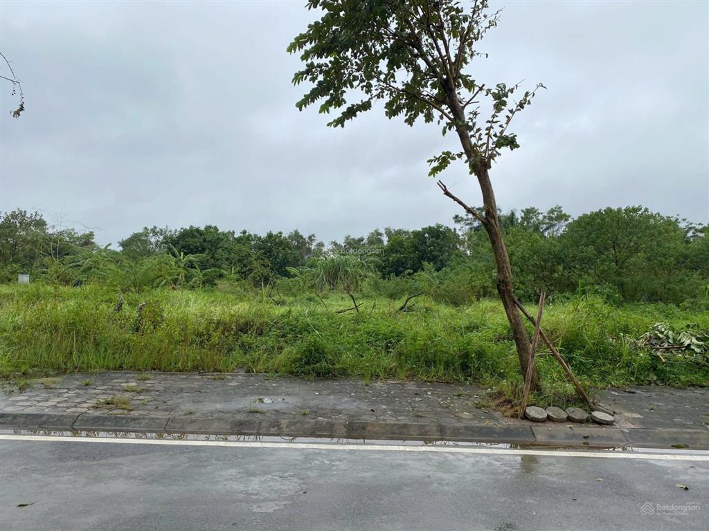 Chuyển nhượng dự án công nghiệp tại bắc ninh
 khu cn thuận thành bắc ninh