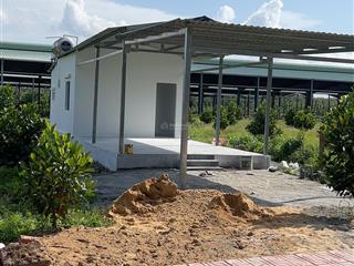 Bán nhà vườn 250m2 tại thành phố hồ chí minh