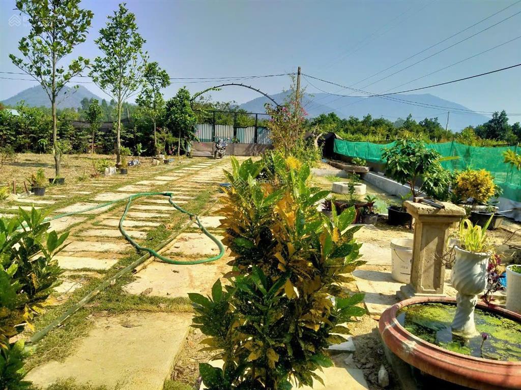 Bán đất thổ cư, sổ đỏ, xã minh trí, sóc sơn giá chỉ nhỉnh 2 triệu/m2