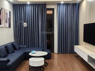 Chính chủ bán căn hộ 3 phòng ngủ chung cư home city full nội thất, giá 8,65 tỷ