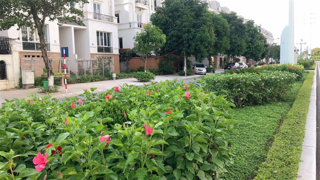 BÁN BIỆT THỰ 2 MẶT TIỀN 259 M2 KDT LIDECO ( 0915458886)