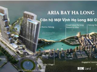 Nhận booking chọn căn aria bay  mặt biển bãi cháy,hạ long  sở hữu lâu dài.