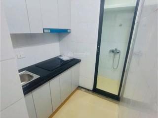 Bán căn hộ chung cư tại thành công, 4,3 tỷ, 65m2, 2pn, 1wc, nội thất đầy đủ