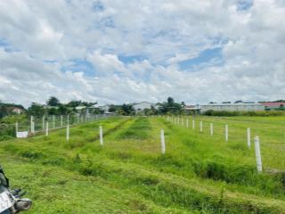 5x60m có thổ cư ngay kế bên kcn phước đông. chỉ 499tr