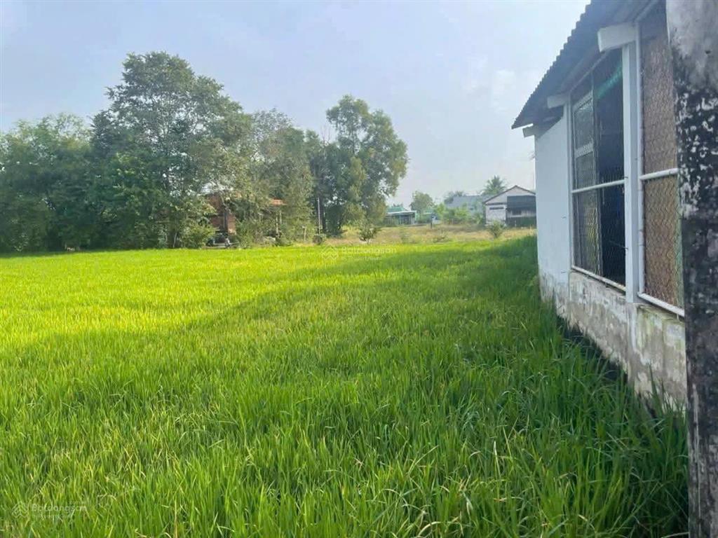 Tôi chính chủ bán đất lô đất xã cần đước, tỉnh tây ninh