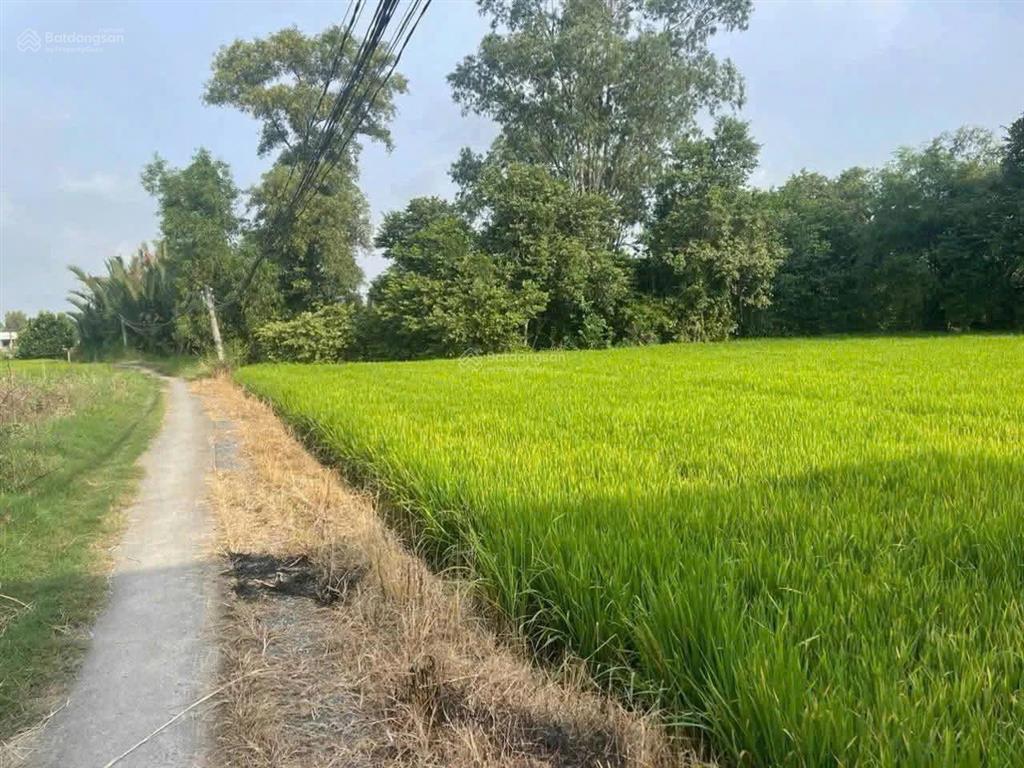 Tôi chính chủ bán đất lô đất xã cần đước, tỉnh tây ninh