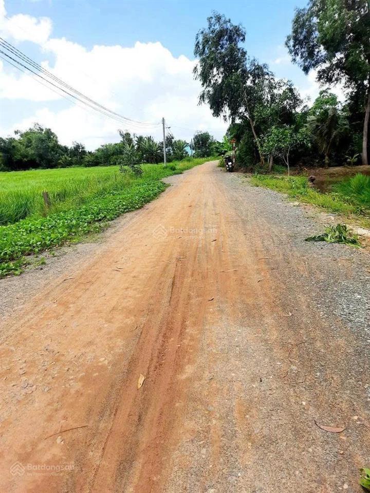 Bán 2000m2 đất lúa khu vực chuyển thổ, thích hợp phân lô